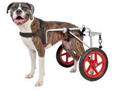 Extra Large Best Friend Mobility Elite XL Dog Wheelchair Rear Support Cart picture