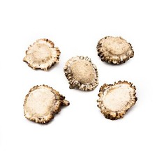 5 ct Large Deer Shed Antler Burrs 1 1/2