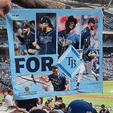 Tampa Bay Rays Baseball full color rally towel ALDS vs Yankees souvenir 10/03/26 picture