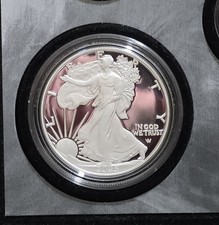 2025 S Limited Edition Proof American Silver Eagle Without Box FAST SHIPPING picture
