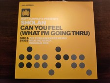 Matt Schwartz Presents Sholan – Can You Feel (What I'm Going Thru) - 12