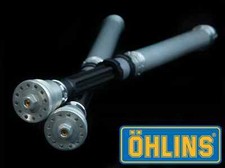 OHLINS FKR 1222 Pressurized Race Cartridge 2019 on BMW S1000RR M1000RR picture