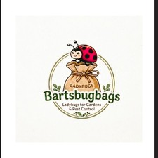 1500 ladybugs live picture