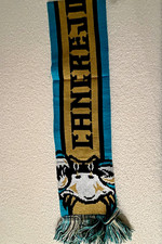 Chesapeake Baysox Alternate Identity Scarf Giveaway 2026 picture