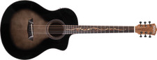 Washburn BTS9VCECH-D-U picture