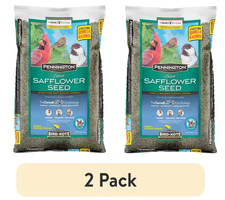 Pennington Recipe Selects Safflower Seed Wild Bird Feed and Seed, 7 lb 2 Pack picture