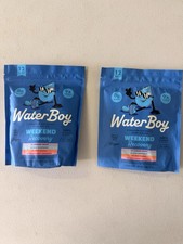 Waterboy Weekend Recovery Variety Pack Hydration 24 Sticks picture