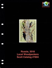 $9.00 Scott Value - 2018 RUSSIA Woodpeckers s/s Birds Wildlife CV MNH NH UMM picture