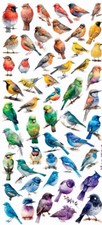 Violette Stickers Mini Rainbow Realistic Birds  Crafts Planner Supply Scrapbook picture