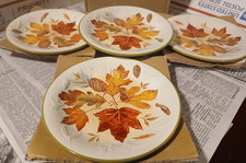 Longaberger Luncheon Plate - Fall Foliage - SET of 4 NIB -  picture
