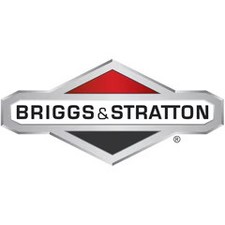 Briggs & Stratton Circuit Board | 310443GS picture