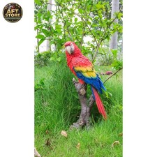 Hi-Line Gift Ltd. Parrot on Branch Statue - Vibrant Garden Decor picture