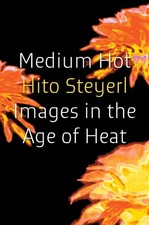 Medium Hot: Images in the Age of Heat by Hito Steyerl Paperback Book picture