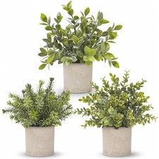 Der Rose 3 Pack Mini Potted Fake Plants Artificial Plastic Eucalyptus Plants Top picture