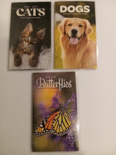 2-Year, 2026-2027, Pocket Calendar, Choice of Kitten, Dog or Butterfly picture