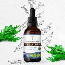 Secrets Of The Tribe Wild Lettuce Tincture Alcohol-FREE picture