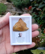 Rare Neanderthal Scraper  Tool~ Fontmaure, France~ Mousterian Period~Jasper picture