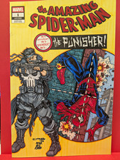 Original Comic Art - SPIDER-MAN/PUNISHER picture