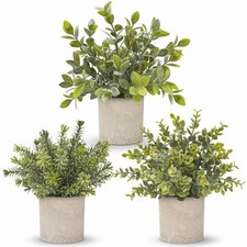 Der Rose 3 Pack Mini Potted Fake Plants Artificial 7.5