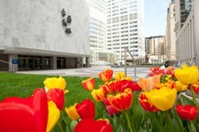Mayo Clinic 34th Annual Internal Medicine Board Review 2025 picture