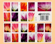 2023Tulip Blossoms Forever Stamps, 25 Sheets of 20-total 500pcs Stamps collect picture