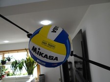 Volleyball Spike Training  Official Size Ball. picture