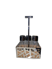 Alessi salt pepper and spice steel MSA16 CACTUSVINTAGE PRIVATE COLLECTION picture