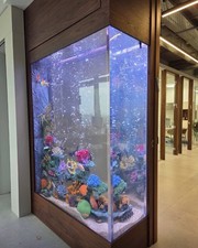 HUGE AQUARIUM 500gal + Builds picture