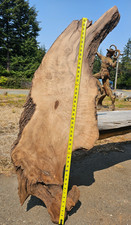 River Salvaged Myrtlewood Burl Live Edge Slab picture