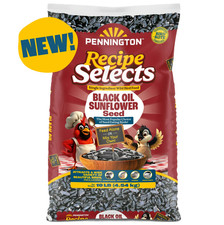 Pennington Recipe Selects Black Oil Sunflower Seed Dry Wild Bird Feed, 10 lb. picture