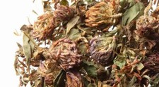 NY Herb Shop Red Clover Tops Whole | Bulk Wholesale Herbal Tea Flowers picture