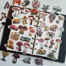 40pcs Vinyl Cute Mushroom Sticker Pack For Journaling,Scrapbooking,phone picture