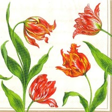 Ambiente AMB6386L10 Classic Tulip Paper Towels, Pack of 10 picture