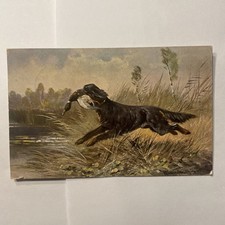 1907 Osceola Mills&Tyrone PA. Ben Franklin 1cent Stamp. Dog Duck Huntng PC picture