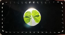 🍀RARE Real Lucky 4 Leaf Clover🍀 With Protective Flexible Wallet Case picture