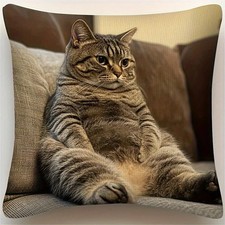 Large Fluffy Gray Tabby Cat Pillow Cover Soft Realistic Design picture