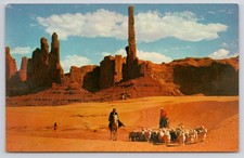Petley Postcard Flock on the Dunes Monument Valley Arizona Color Photo 520 picture