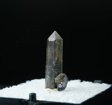 Brookite on Smoky Quartz / Moses Hill, Magnet Cove, Arkansas / Thumbnail Perky B picture