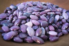 Mexican Grande Ayocote Morado Beans / Heirloom / Super Rare / 3lb  picture