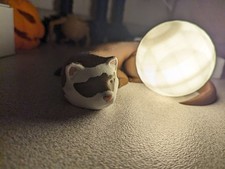 Ferret Sleeping Lamp, Nightlight, Desk Decor picture