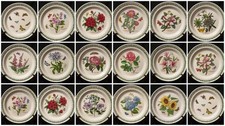 Portmeirion Botanic Garden Dinner Plate -U CHOOSE - Flowers, Butterfly -NEW MARK picture