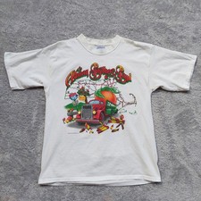 Vintage 2000 Allman Brothers Band Tour T-Shirt L White Concert Tee Mass Dates picture