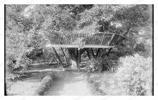 Danvers Massachusetts circa 1900s Tree Platform Walkway Standard Postcard picture