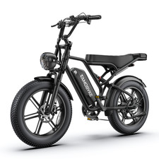 Tamobyke T60 Electric Bike for Adults 749W 27.9MPH 48V 18.2AH 20