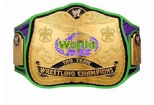 Hardy The Hardy Boys Custom Series Tag Team Championship Belt Replica picture