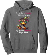 Sorry I Am Cranky Im Going Through Terrible Seventies Unisex Hooded Sweatshirt picture