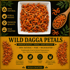 Premium Wild Dagga Petals (Lion’s Tail) – Leonotis leonurus | Pure | Fresh | USA picture