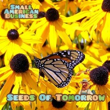 5000 Organic Black Eyed Susan Flower Seeds Non-GMO Heirloom- With Bonus picture