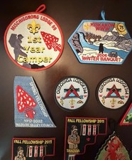 Mixed Lot Of 15 WWW OA Order Of The Arrow Patches Boy Scouts BSA Embroidered picture