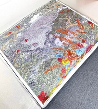 Hermès Women's Jungle wildlife print Pattern Design Square silk scarf 35*35in picture